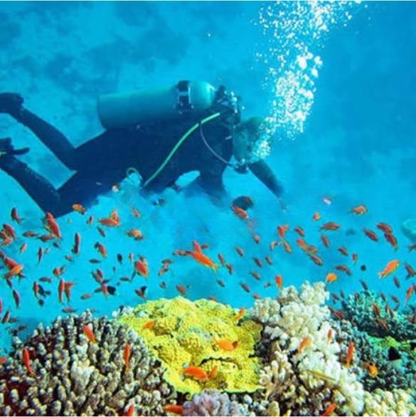 andaman-and-nicobar-best-place (7)