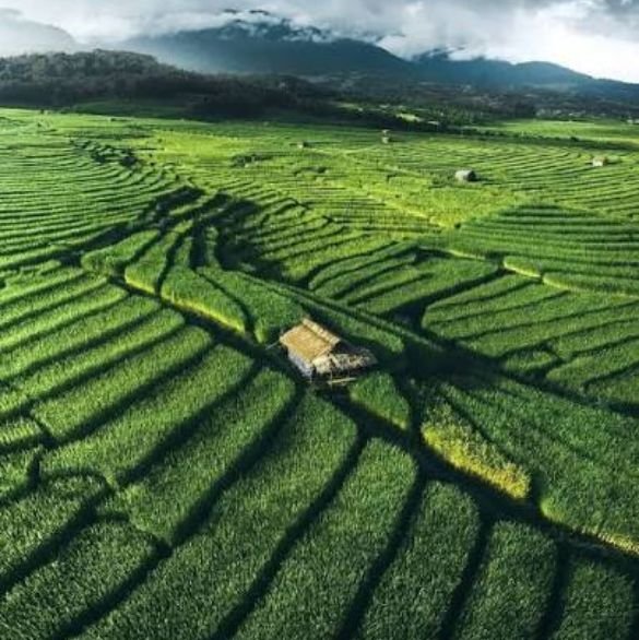 asam-best-place (6)