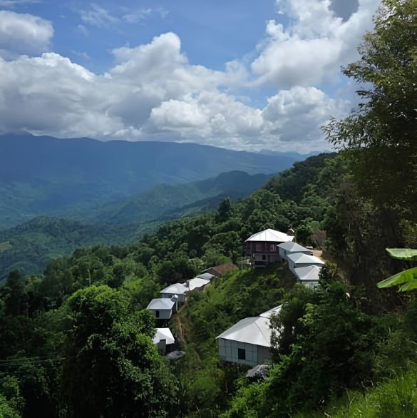 asam-best-place (7)