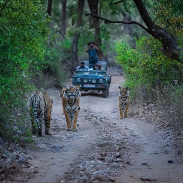 rajasthan-best-place (1)