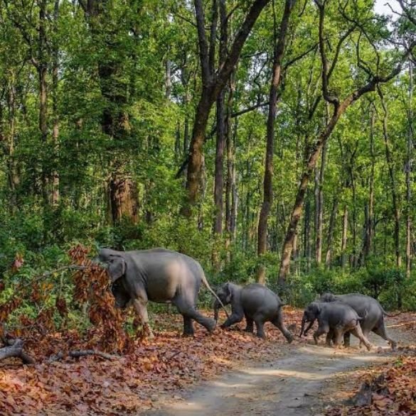 utrakhand-best-place (1)