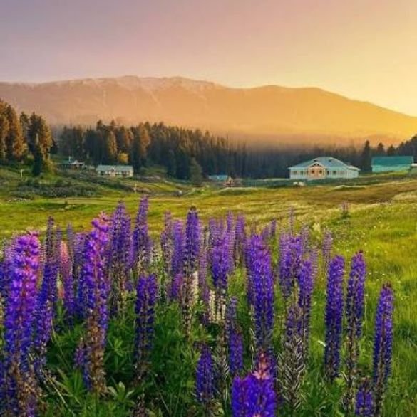 desti-kashmir-cities (2)