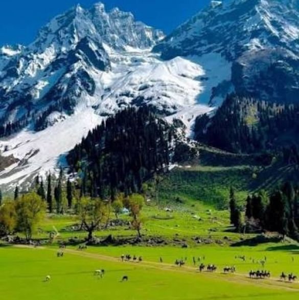 desti-kashmir-cities (4)